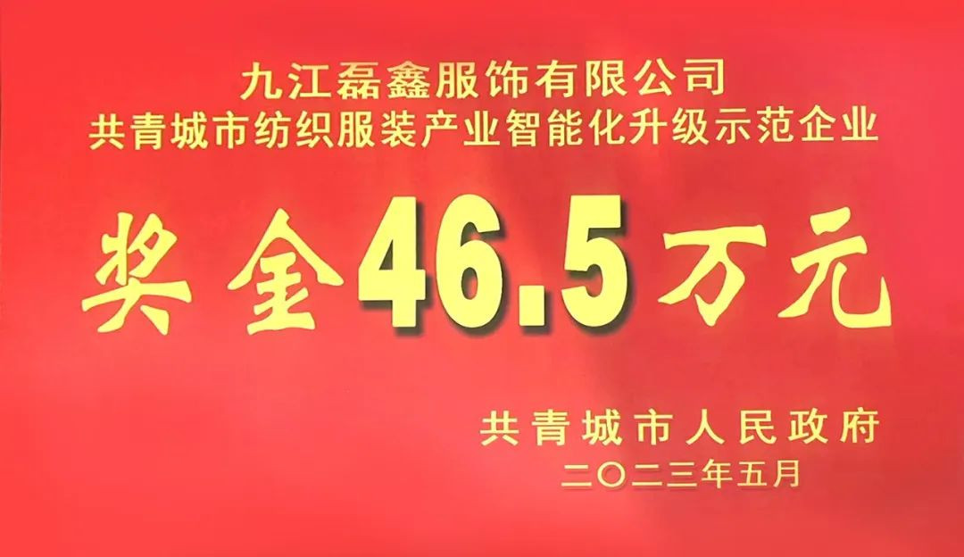 客戶新聞 | 磊鑫服飾榮獲紡織服裝產(chǎn)業(yè)智能化升級示范企業(yè)！